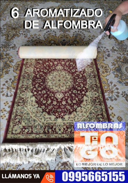 Expertos en Reparación de Alfombras ¡Recupera tu Inversión! en Quito - Imagen 4
