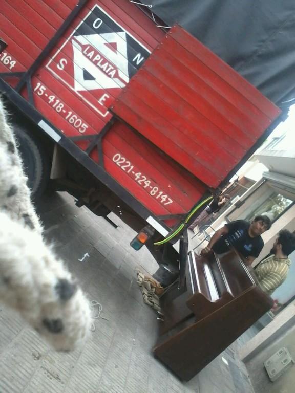 Fletes La Plata, Tolosa También mudanza en Argentina - Imagen 19