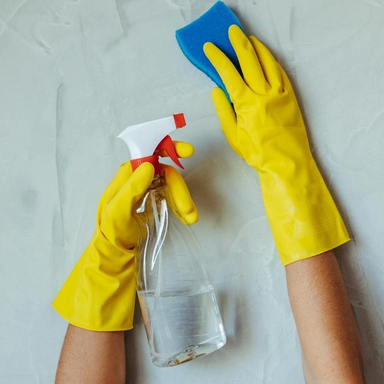 Housemaid & Nanny Services – Riyadh in Riyadh - Image 2