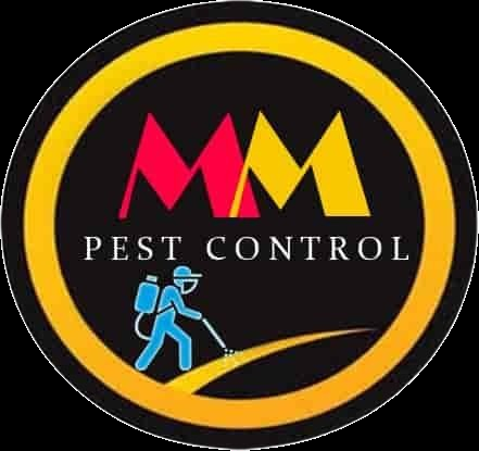 MM pest control in Patna - Image 1