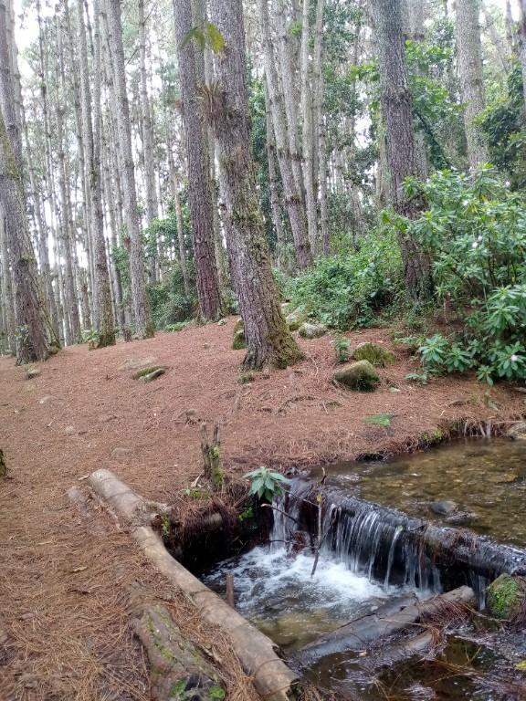 TERRENOSyCASAS.ELVALLE. en Baruta - Imagen 2