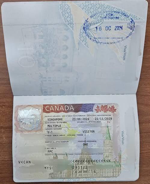 BUSINESS VISA AND COMPANY REGISTRATION in Ibhayi - Image 6