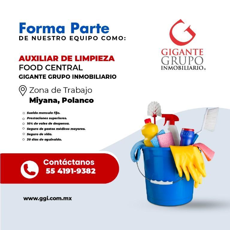 Auxiliar de limpieza en la Colonia Polanco - Imagen 1
