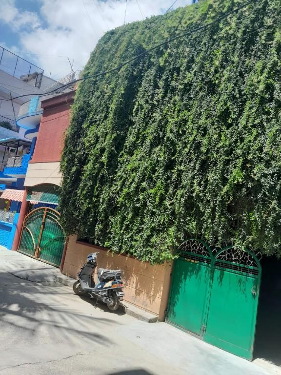 Single Occupancy Room for Rent for Male Occupant in Mathikere - Image 11