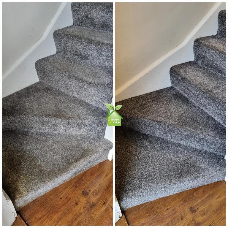 PROFESSIONAL CARPET CLEANING in Swords - Image 2