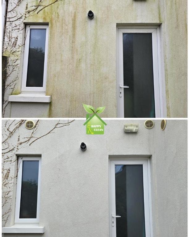 PROFESSIONAL SOFT WASHING in Dublin - Image 1