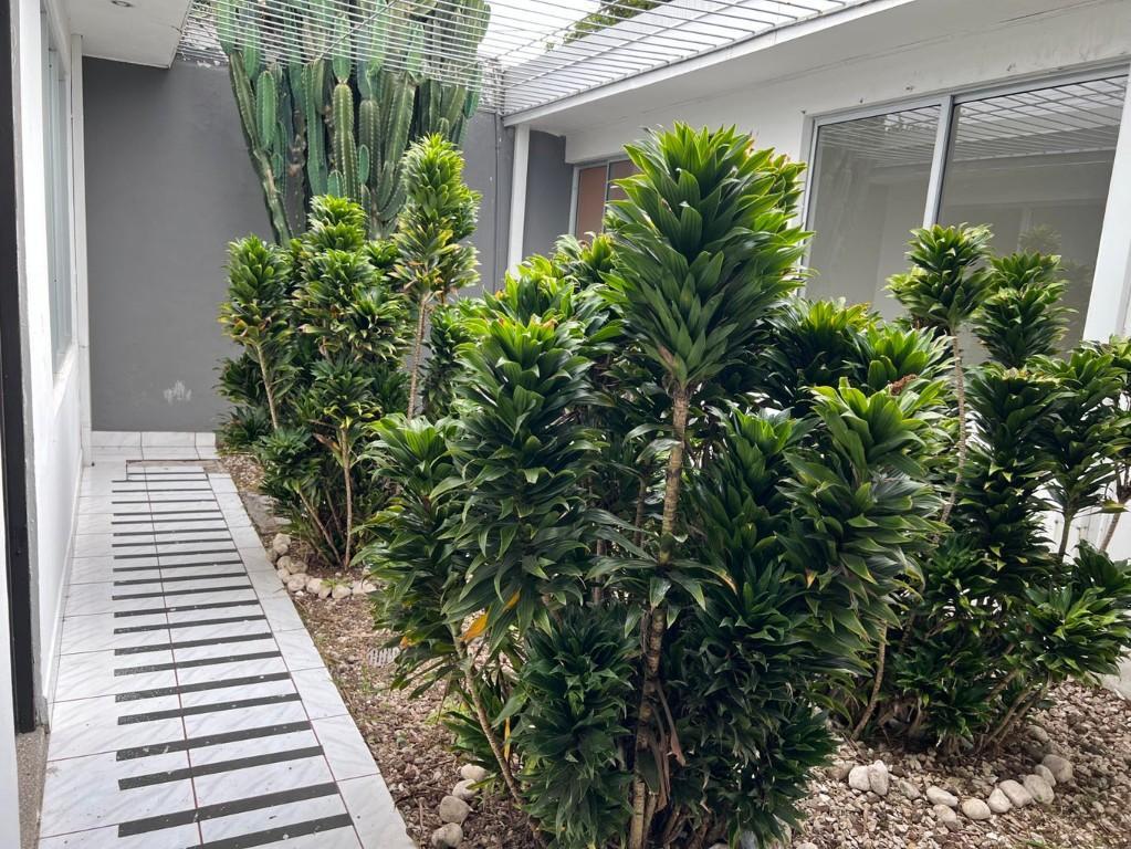 Venta de Oficina en La Sabana, San José / Mls. 25-1993 OFC JB en Santa Ana - Imagen 2