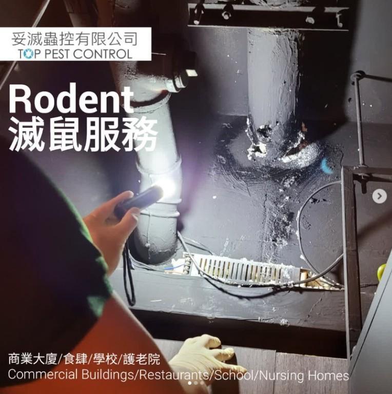 Top Pest Control Com., Ltd - Safe, Trusted Pest-Free Living! in Choi Hung - Image 3
