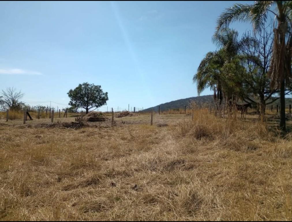 Excelente Terreno en Mascuala Jalisco en Tacuba - Imagen 2