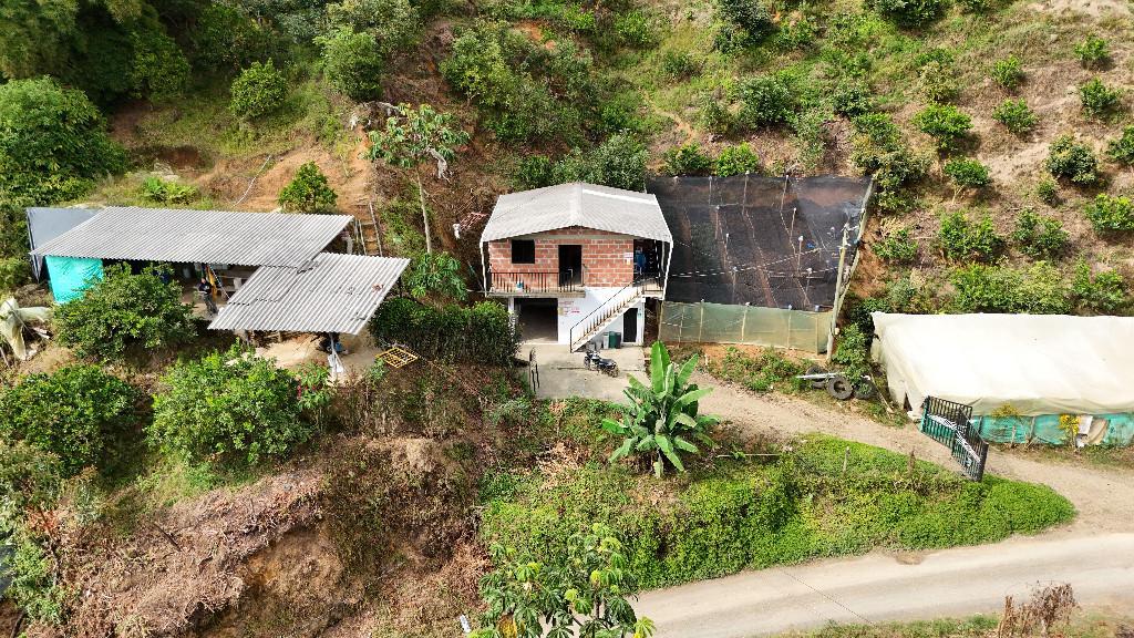 EN VENTA TERRENO RURAL 8 HÉCTAREAS en Colombia - Imagen 2