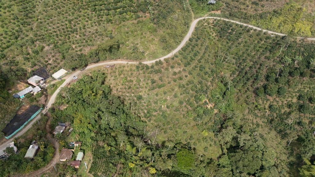 EN VENTA TERRENO RURAL 8 HÉCTAREAS en Colombia - Imagen 3