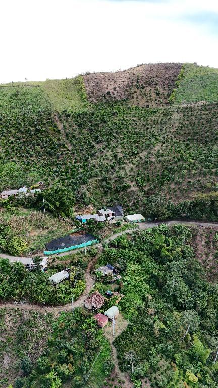 EN VENTA TERRENO RURAL 8 HÉCTAREAS en Colombia - Imagen 4