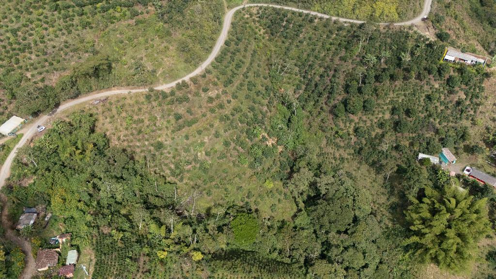 EN VENTA TERRENO RURAL 8 HÉCTAREAS en Colombia - Imagen 8
