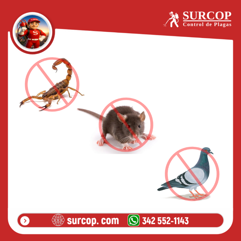 SURCOP Control de Plagas en Santa Fe - Imagen 2