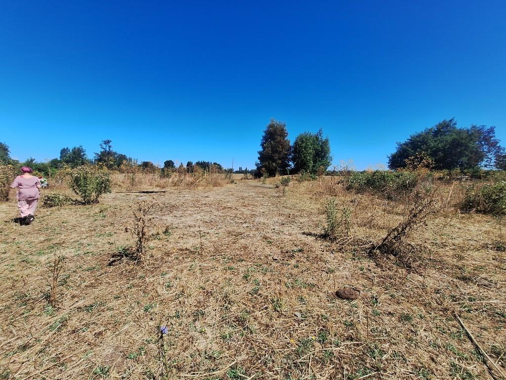 Venta de Parcelas – Oportunidad de Inversión cerca de Temuco en Chile - Imagen 16