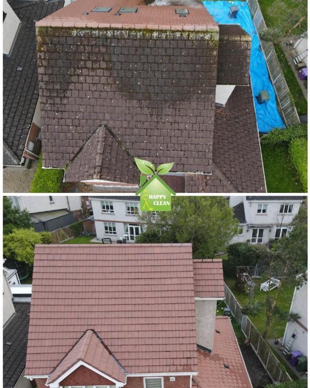 PROFESSIONAL ROOF CLEANING in Dublin - Image 1