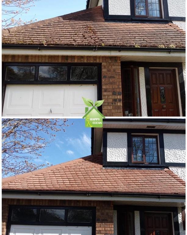 PROFESSIONAL ROOF CLEANING in Dublin - Image 2