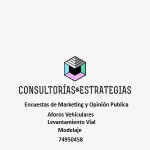 Consultoría & Estrategias en San José Villanueva - Imagen 2