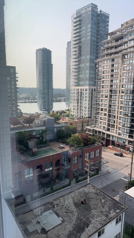 Roommate friendly in New Westminster - Image 1