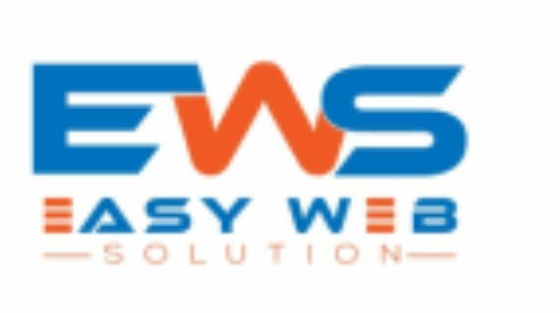Easy Web Solutions in Dera Ismail Khan - Image 1