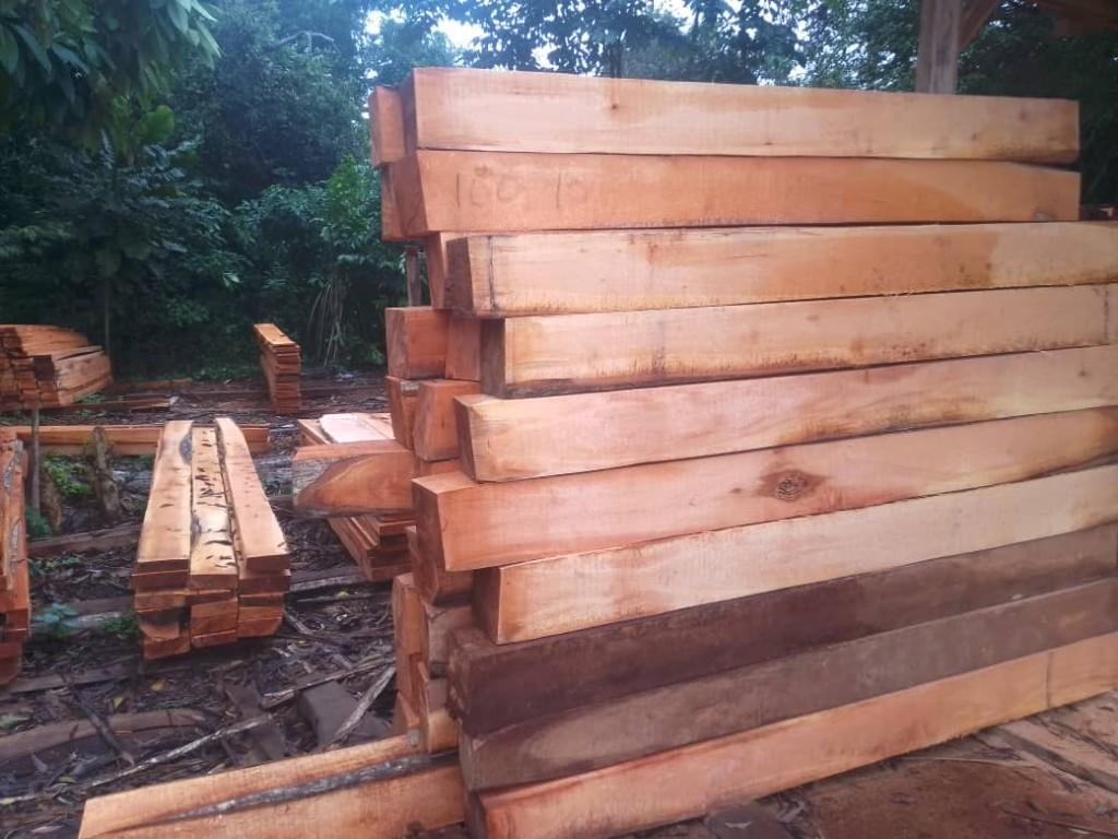WOODS FOR SALES in Tema - Image 2