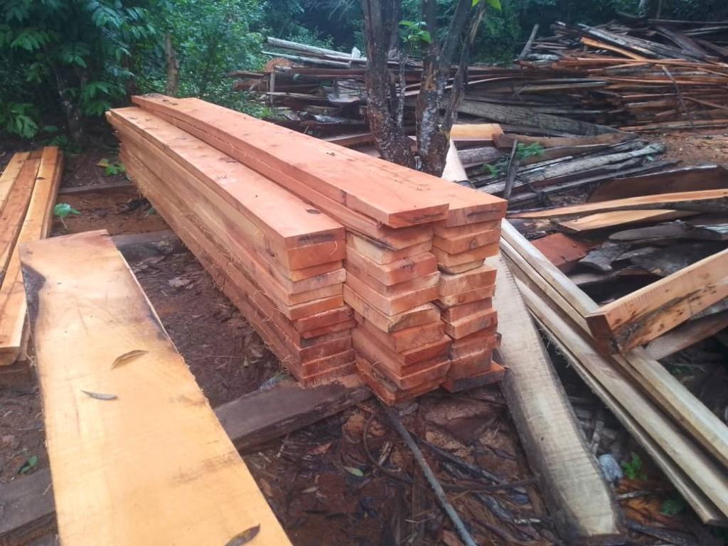WOODS FOR SALES in Tema - Image 3