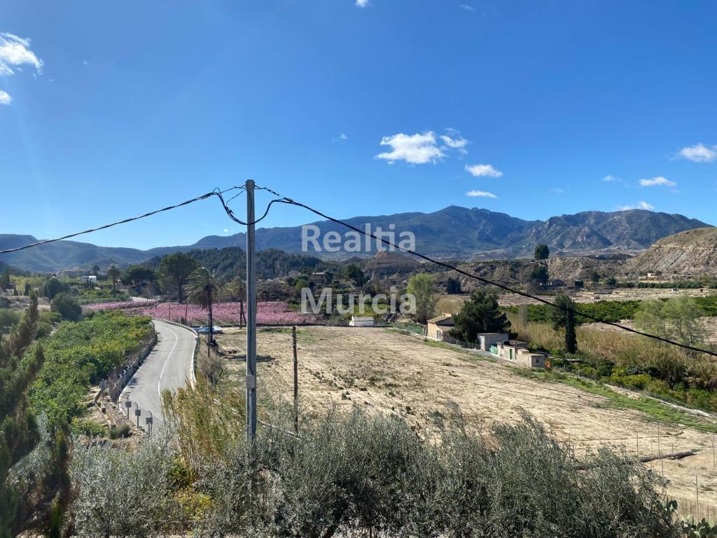 Casa de campo en Blanca en Cieza - Imagen 1
