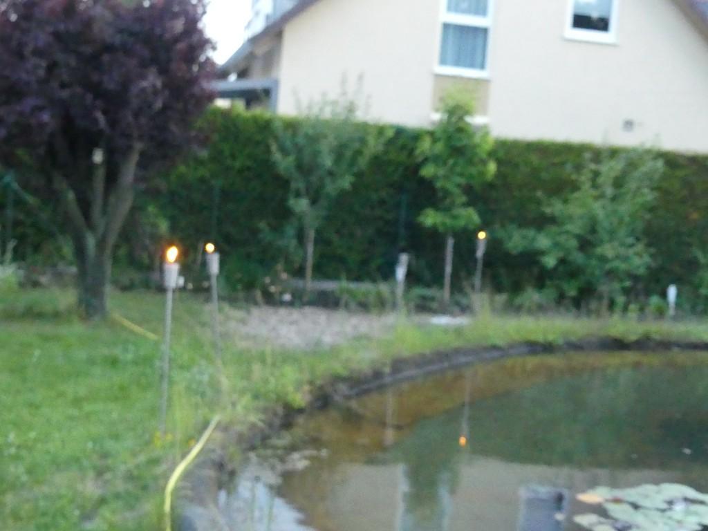Gaertner gesucht in Markkleeberg - Bild 1