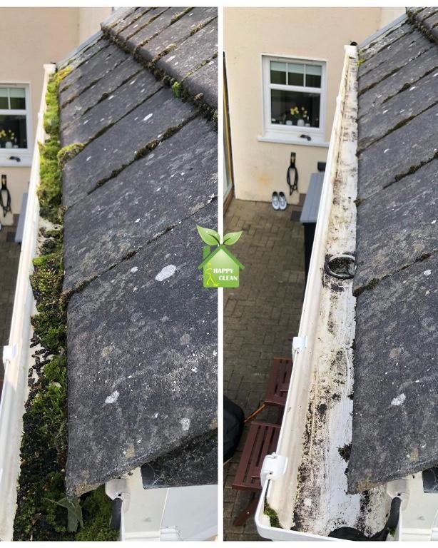 PROFESSIONAL GUTTER CLEANING in Swords - Image 4