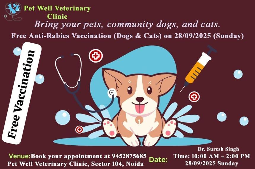 Rabies Vaccine For Dogs in Noida - Image 2
