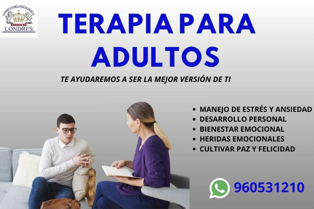 TERAPIA PARA ADULTOS en Perú - Imagen 1