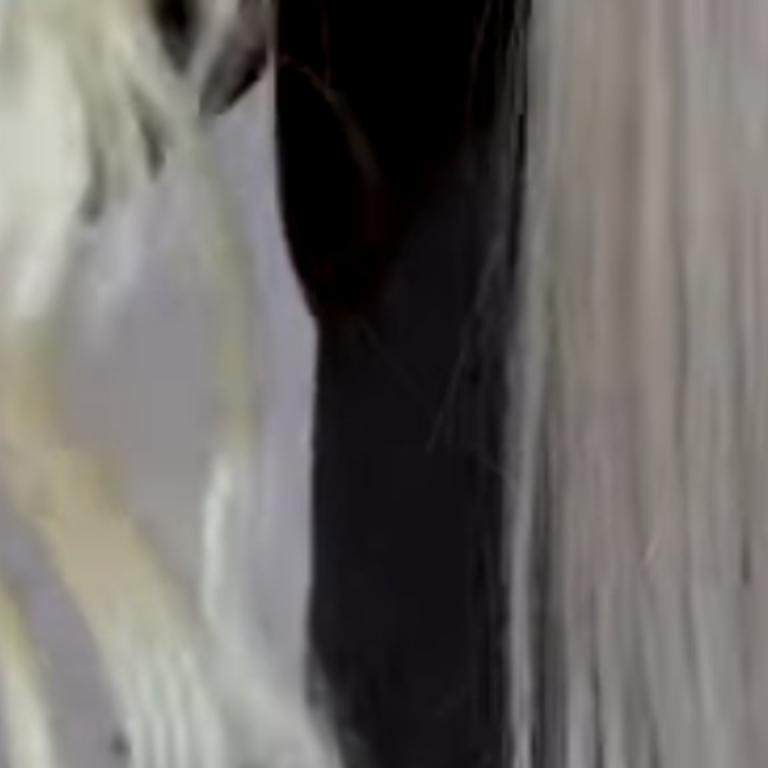 SCHWARZKOPFT MECHAS PLATINUM A DOMICILIO en Chile - Imagen 2
