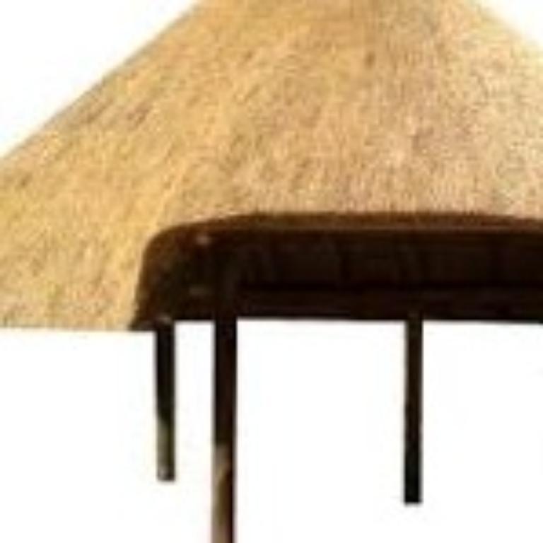 Am specialize with thatch roofing in South Africa - Image 3