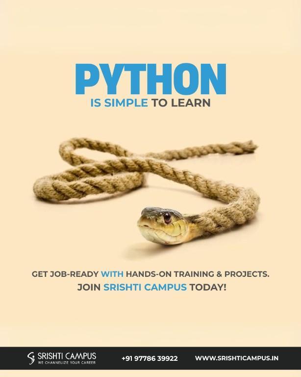 Python’s Role in the Modern IT Landscape in India - Image 1