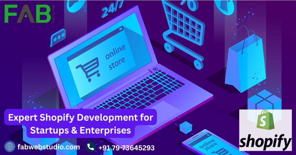 Professional Shopify Development for Startups & Enterprises in Panchkula - Image 1