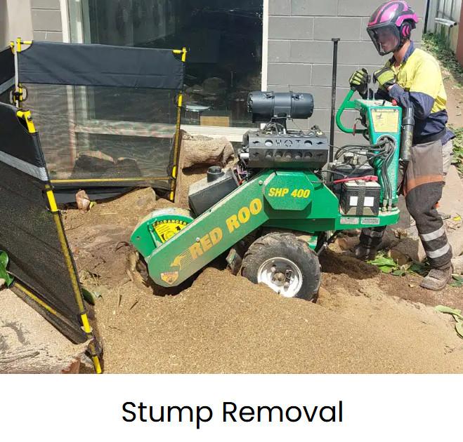 Crows Nest Tree Removal in Mount Barker - Image 3