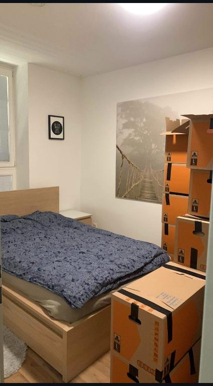 Genossenschaft Wohnung in Baden - Bild 2