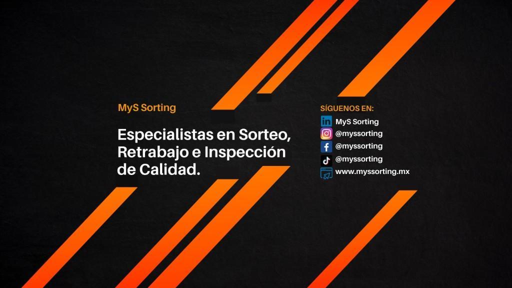 MyS Sorting Sorteadora de Calidad en Guadalupe - Imagen 2