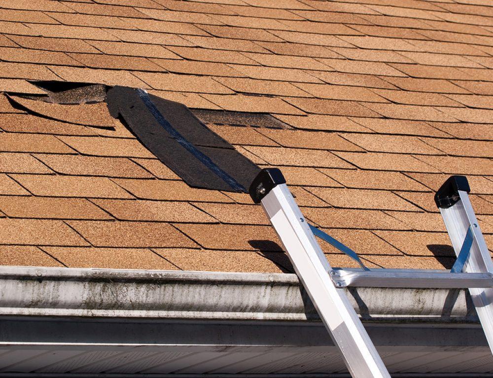 Arizona Native Roofing in Mesa - Image 3