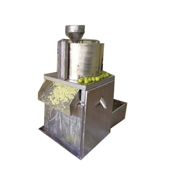 Amla Processing Machine | Advanced Solutions for Amla Products in Ambāla - Image 1
