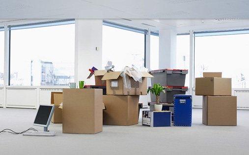Pro Touch Movers in Jacksonville - Image 3