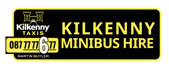 Kilkenny Mini Bus in Kilkenny - Image 1