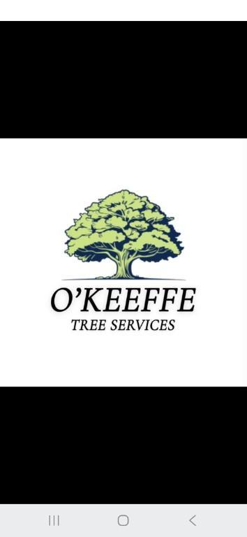 Tree Surgery Co. CORK in Cork - Image 1