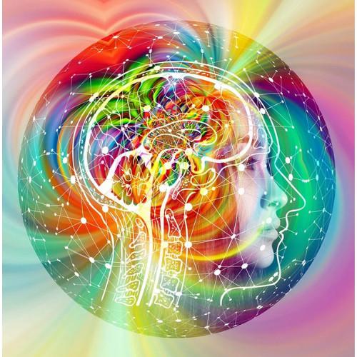 Boost Memory, Mood & Motivation with Innovative Supplement in Phoenix - Image 3