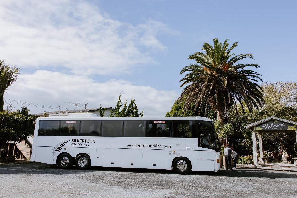 Silverfern Coachlines - Charters in North Shore - Image 1