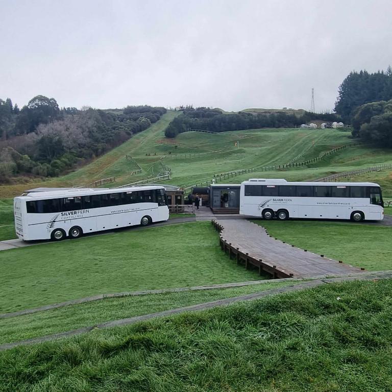 Silverfern Coachlines - Charters in North Shore - Image 5