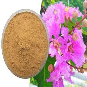 Curcumin 40 (Water Soluble) Curcuminoids Manufacture in Nainital - Image 2
