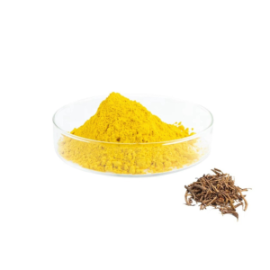 Curcumin 40 (Water Soluble) Curcuminoids Manufacture in Nainital - Image 5