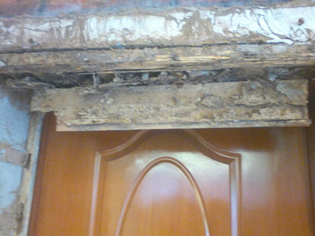 Dimake Effects At Homes in Pakistan - Image 1