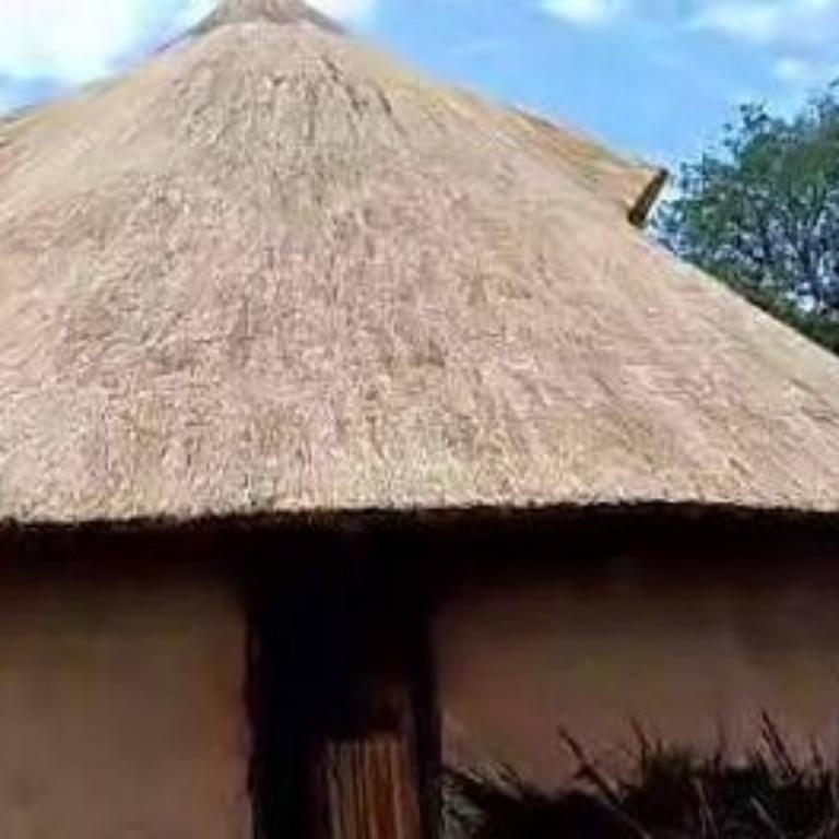 Am specialize with thatch roofing in South Africa - Image 2